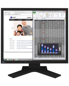 EIZO S1934H Swiss Edition Monitor