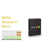 BESA Research Basic Package