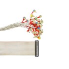 BioSemi Active Electrode Set (MK2, ActiveTwo)